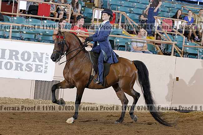 Proof 11yn_07080
