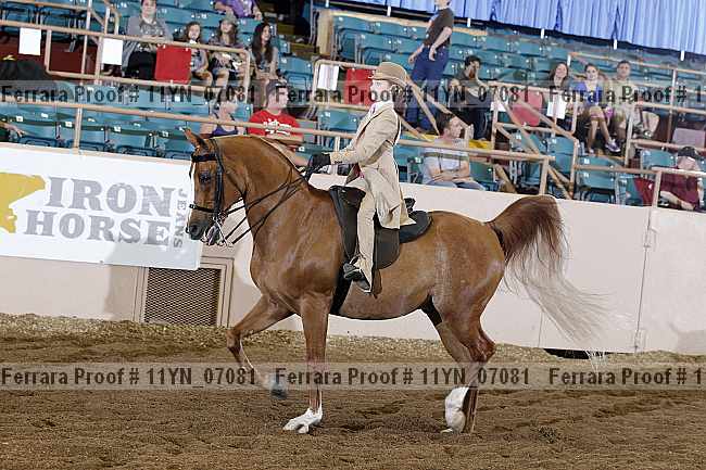 Proof 11yn_07081