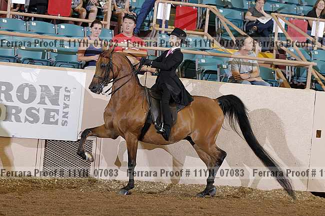 Proof 11yn_07083
