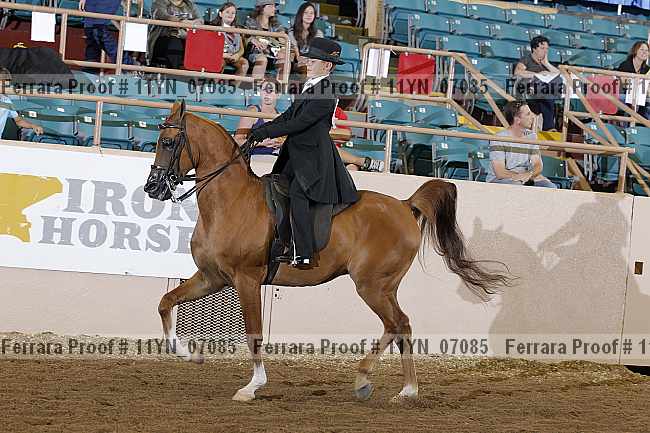 Proof 11yn_07085