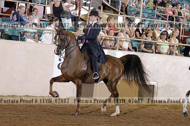 Proof 11yn_07087