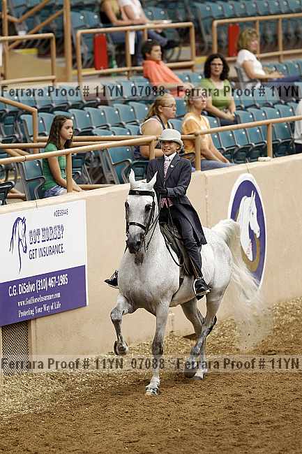 Proof 11yn_07088