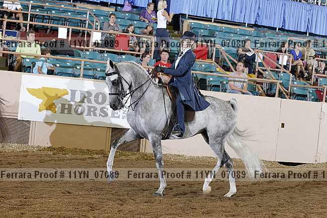 Proof 11yn_07089