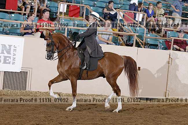 Proof 11yn_07092