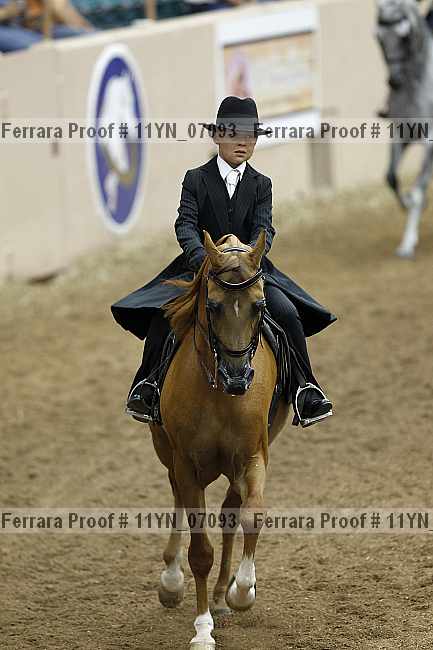 Proof 11yn_07093