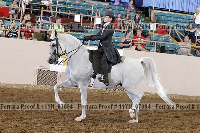 Proof 11yn_07094