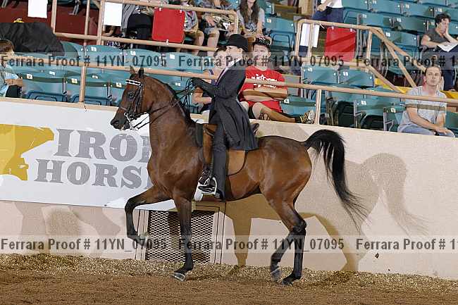 Proof 11yn_07095