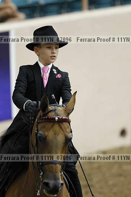 Proof 11yn_07096