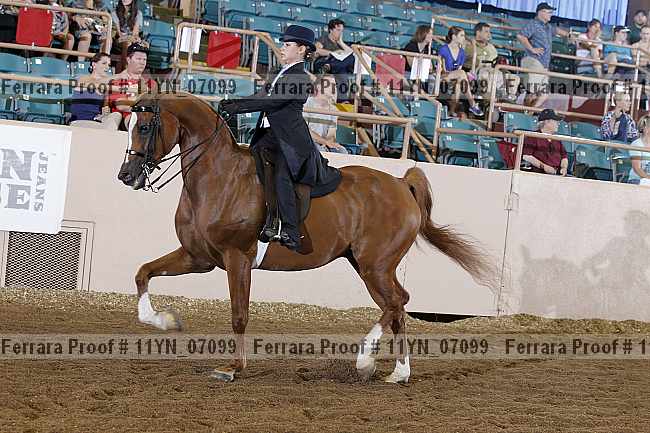 Proof 11yn_07099