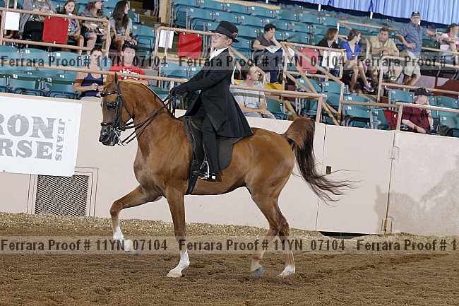 Proof 11yn_07104