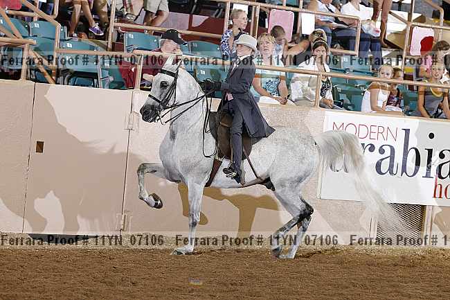 Proof 11yn_07106