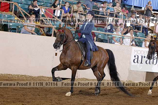 Proof 11yn_07114