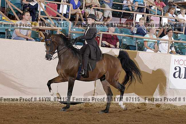 Proof 11yn_07115