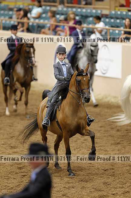 Proof 11yn_07118