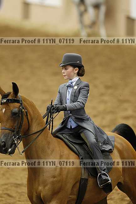 Proof 11yn_07119