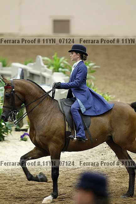 Proof 11yn_07124