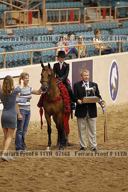 Proof 11yn_07168