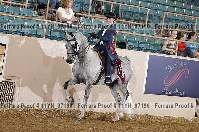 Proof 11yn_07190