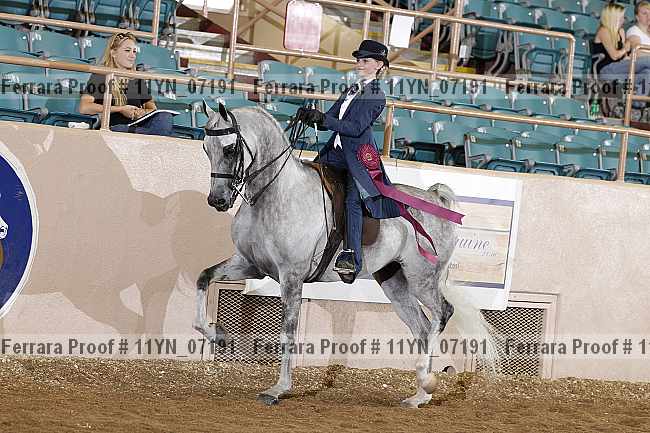 Proof 11yn_07191