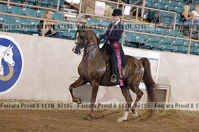 Proof 11yn_07195