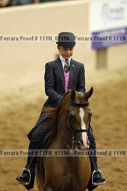 Proof 11yn_07196