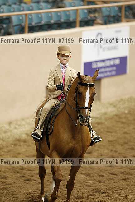 Proof 11yn_07199