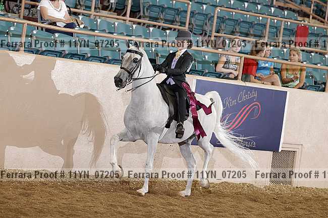 Proof 11yn_07205