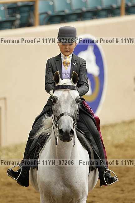Proof 11yn_07206