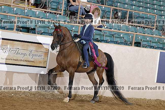 Proof 11yn_07209