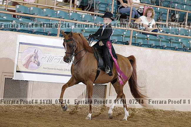 Proof 11yn_07214