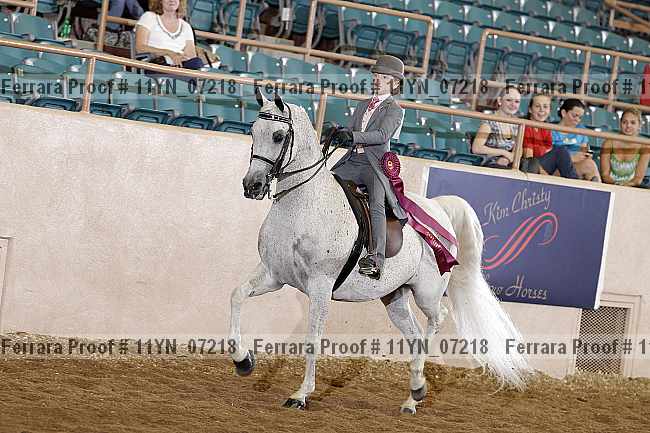 Proof 11yn_07218