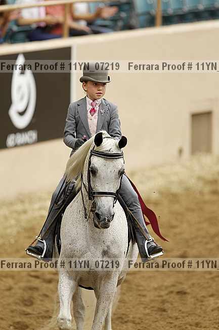 Proof 11yn_07219