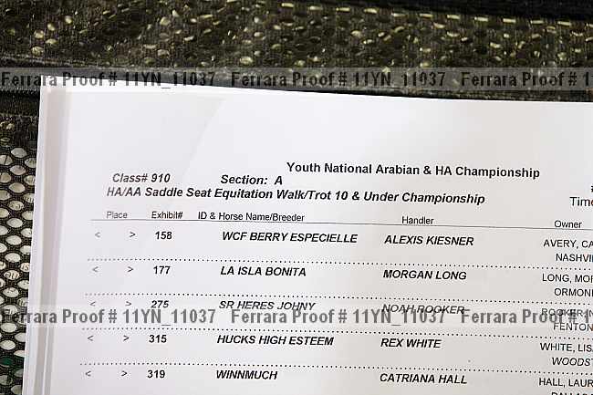 Proof 11yn_11037