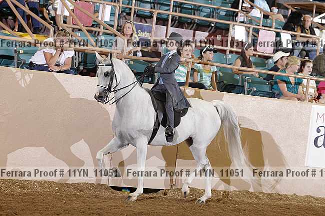 Proof 11yn_11051
