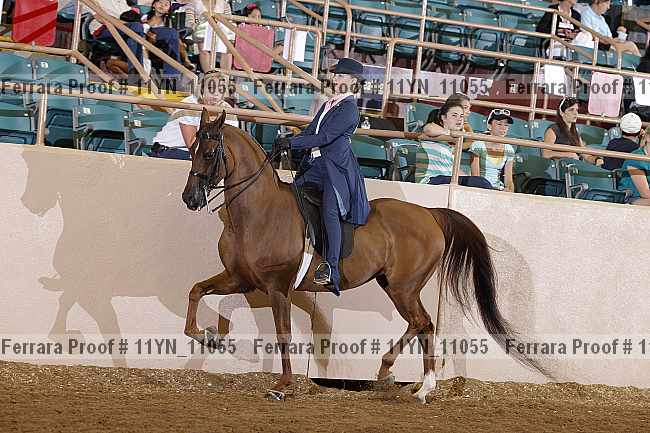 Proof 11yn_11055