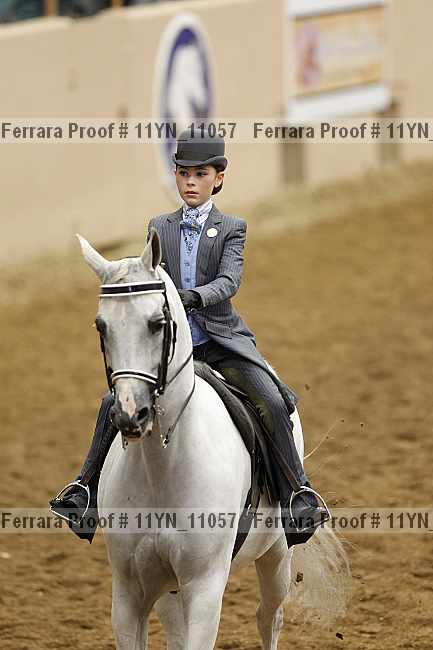 Proof 11yn_11057