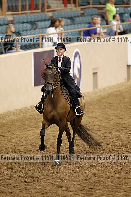 Proof 11yn_11058