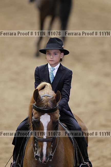 Proof 11yn_11078