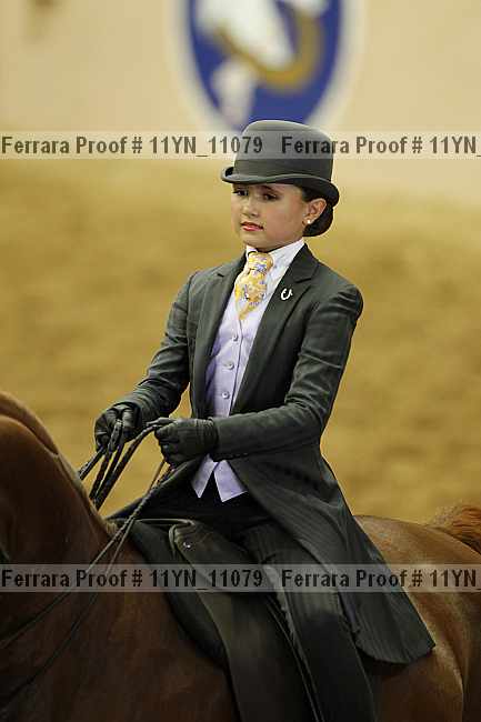 Proof 11yn_11079