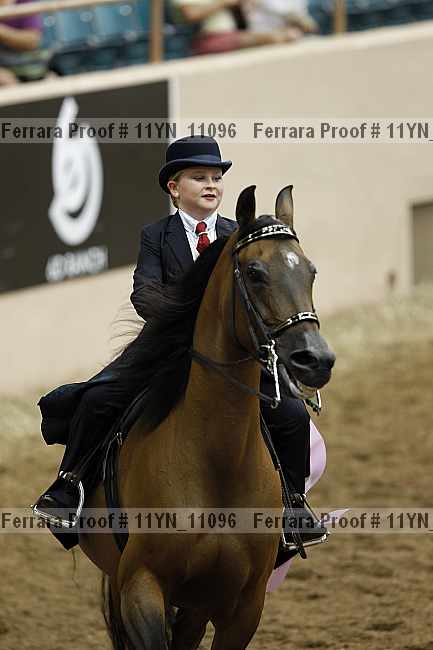 Proof 11yn_11096
