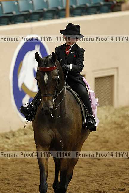 Proof 11yn_11106
