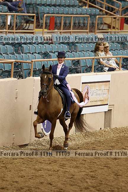 Proof 11yn_11109