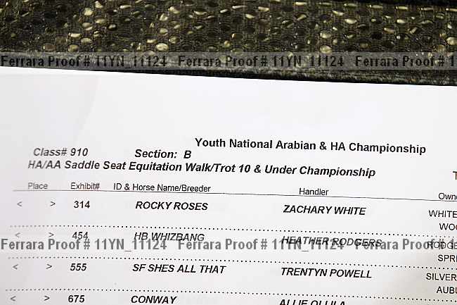 Proof 11yn_11124