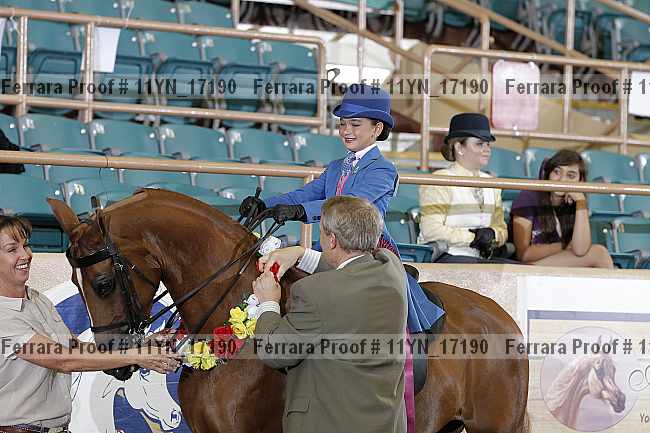 Proof 11yn_17190