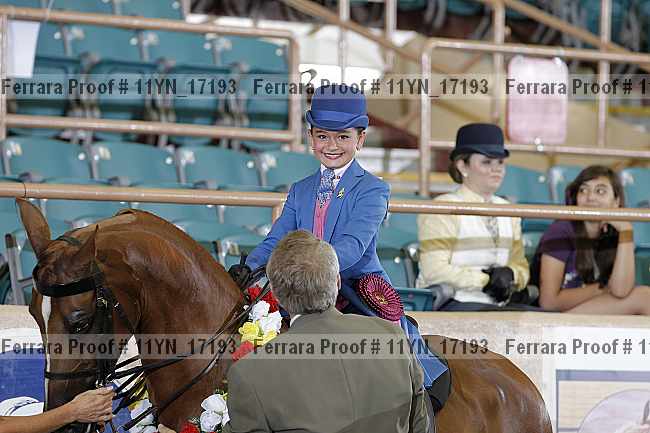 Proof 11yn_17193