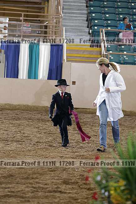 Proof 11yn_17208