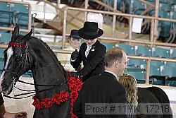 11yn_17218 proof