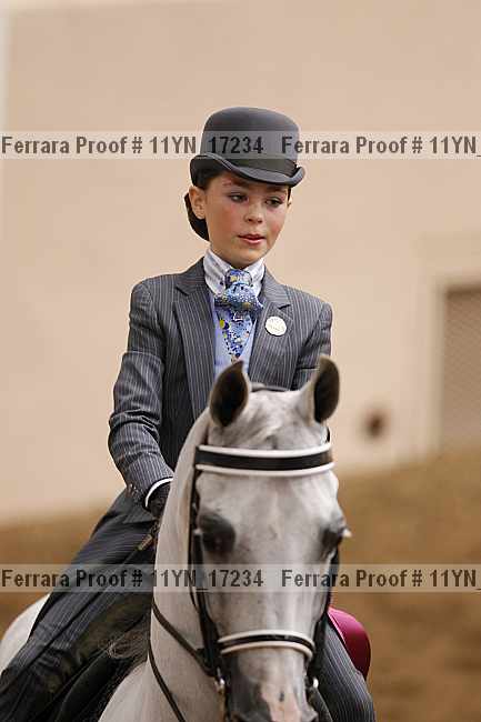 Proof 11yn_17234
