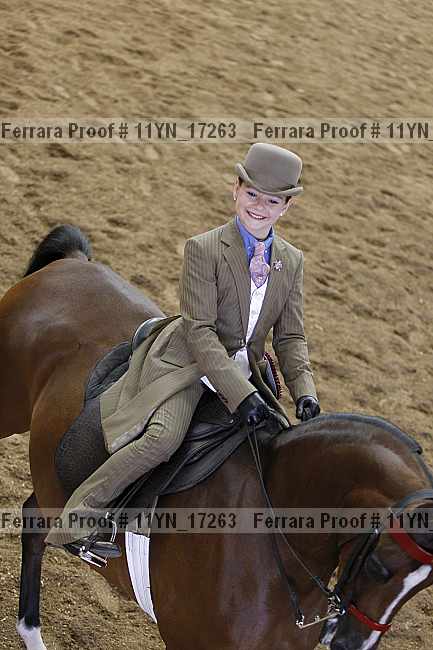 Proof 11yn_17263