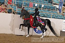 11yn_17302 proof